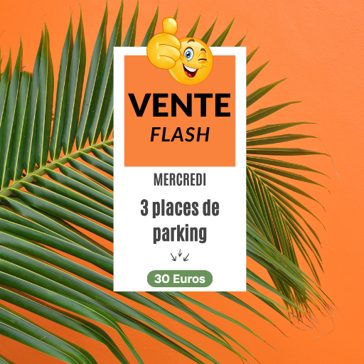 Vente Flash Goodtroc