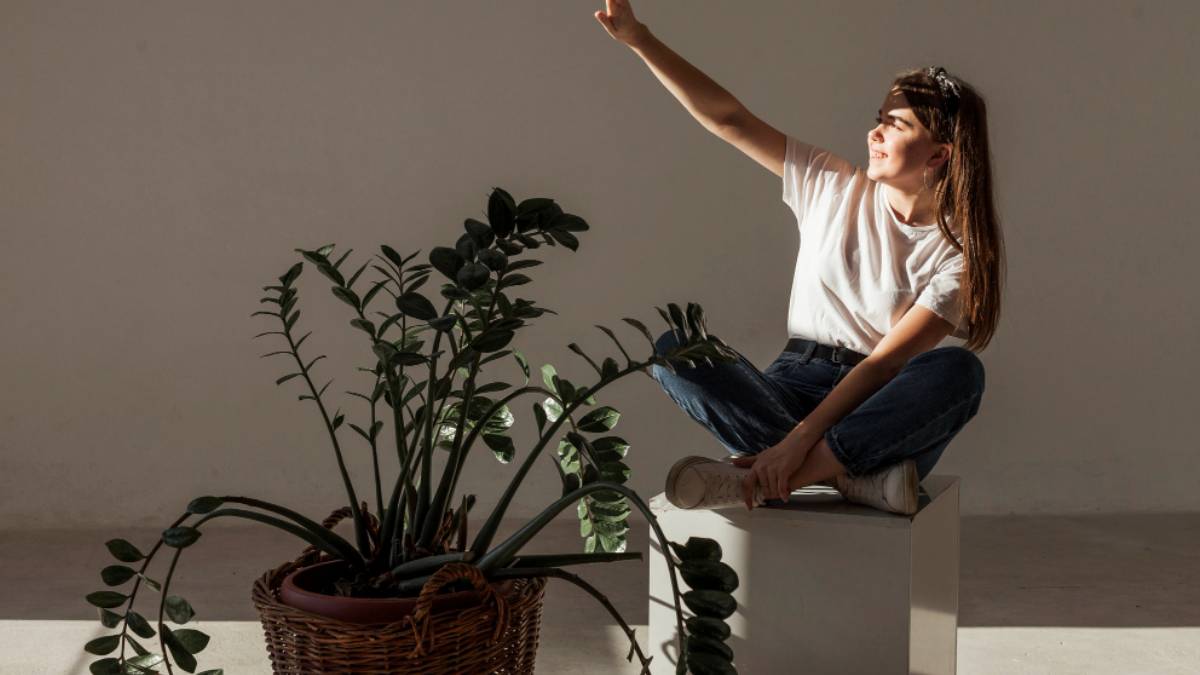 Mode de vie minimaliste